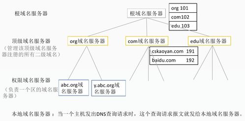DNS域名解析系統在計算機網絡設計中的角色與實現